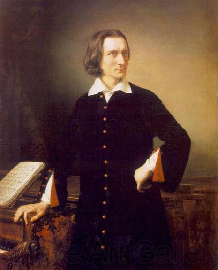 unknow artist Portrait of Franz Liszt France oil painting art